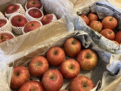 レシピ 初めてok プロに学ぶ簡単 本格タルトタタン りんご大量消費 美味しくないりんご ぱさぱさのりんご捨てない プロのレシピで大復活 いそがばまわれ