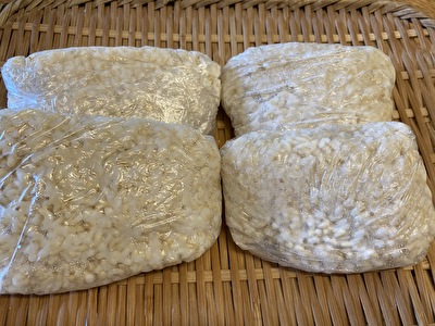 低糖質レシピ 簡単 美味しい発芽玄米の炊き方 発芽玄米３合をフィスラー圧力鍋 ル クルーゼ鍋で炊く方法 いそがばまわれ