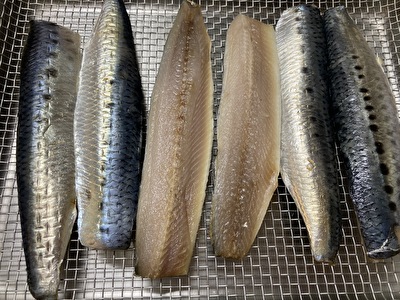 レシピ 冷蔵庫で作るイワシの干物 魚の一夜干しは冷蔵庫で 簡単 美味しい 臭わない干物を冷蔵庫で作る方法 いそがばまわれ