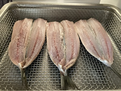 レシピ 冷蔵庫で作るイワシの干物 魚の一夜干しは冷蔵庫で 簡単 美味しい 臭わない干物を冷蔵庫で作る方法 いそがばまわれ